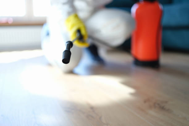 Best Post-Remediation Verification Testing  in Centerville, SC